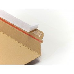 200 enveloppes cartons BBX1 176 x 250mm  - 2